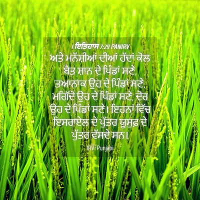 Picture 04 - 1 ਇਤਿਹਾਸ 7:29 PANIRV - ਅਤੇ ਮਨੱਸ਼ੀਆਂ ਦੀਆਂ - Bible Verse Picture