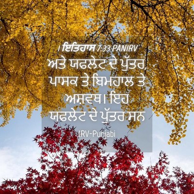 Picture 04 - 1 ਇਤਿਹਾਸ 7:33 PANIRV - ਅਤੇ ਯਫਲੇਟ ਦੇ ਪੁੱਤਰ, - Bible Verse Picture