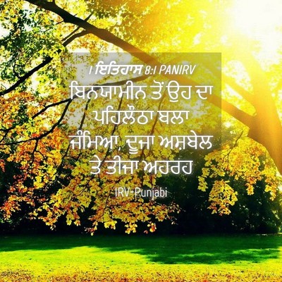 Picture 04 - 1 ਇਤਿਹਾਸ 8:1 PANIRV - ਬਿਨਯਾਮੀਨ ਤੋਂ ਉਹ ਦਾ - Bible Verse Picture