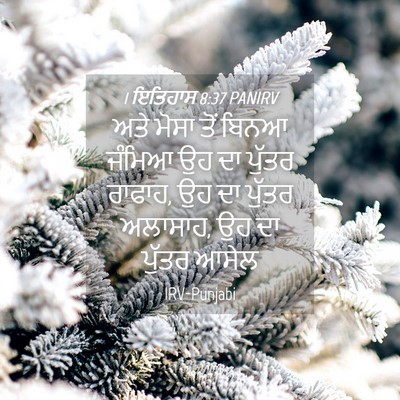 Picture 04 - 1 ਇਤਿਹਾਸ 8:37 PANIRV - ਅਤੇ ਮੋਸਾ ਤੋਂ ਬਿਨਆ - Bible Verse Picture
