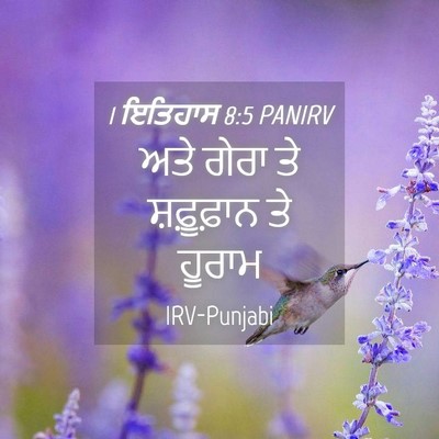 Picture 04 - 1 ਇਤਿਹਾਸ 8:5 PANIRV - ਅਤੇ ਗੇਰਾ ਤੇ - Bible Verse Picture