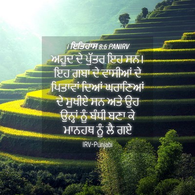 Picture 04 - 1 ਇਤਿਹਾਸ 8:6 PANIRV - ਅਹੂਦ ਦੇ ਪੁੱਤਰ ਇਹ - Bible Verse Picture