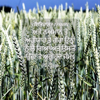 Picture 04 - 1 ਇਤਿਹਾਸ 8:7 PANIRV - ਅਤੇ ਨਅਮਾਨ ਤੇ - Bible Verse Picture