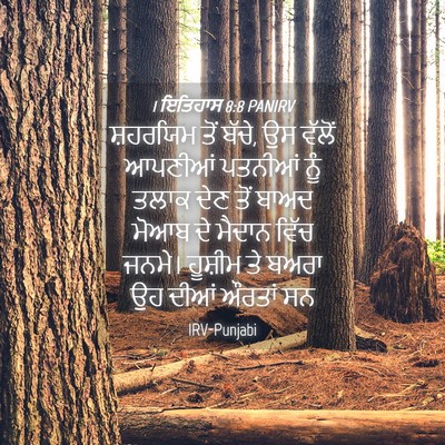 Picture 04 - 1 ਇਤਿਹਾਸ 8:8 PANIRV - ਸ਼ਹਰਯਿਮ ਤੋਂ ਬੱਚੇ, - Bible Verse Picture