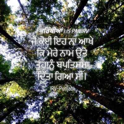 Picture 04 - 1 ਕੁਰਿੰਥੀਆਂ 1:15 PANIRV - ਜੋ ਕੋਈ ਇਹ ਨਾ ਆਖੇ ਕਿ - Bible Verse Picture