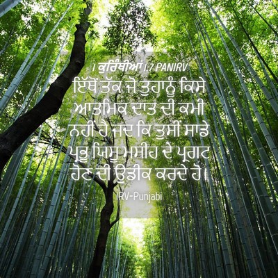 Picture 04 - 1 ਕੁਰਿੰਥੀਆਂ 1:7 PANIRV - ਇੱਥੋਂ ਤੱਕ ਜੋ - Bible Verse Picture