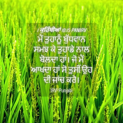 Picture 04 - 1 ਕੁਰਿੰਥੀਆਂ 10:15 PANIRV - ਮੈਂ ਤੁਹਾਨੂੰ - Bible Verse Picture