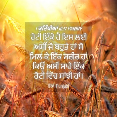 Picture 04 - 1 ਕੁਰਿੰਥੀਆਂ 10:17 PANIRV - ਰੋਟੀ ਇੱਕੋ ਹੈ ਇਸ ਲਈ - Bible Verse Picture