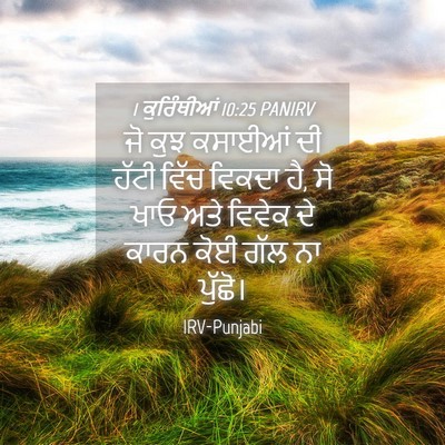 Picture 04 - 1 ਕੁਰਿੰਥੀਆਂ 10:25 PANIRV - ਜੋ ਕੁਝ ਕਸਾਈਆਂ ਦੀ - Bible Verse Picture