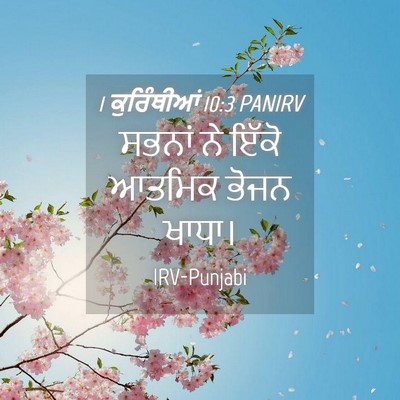 Picture 04 - 1 ਕੁਰਿੰਥੀਆਂ 10:3 PANIRV - ਸਭਨਾਂ ਨੇ ਇੱਕੋ - Bible Verse Picture