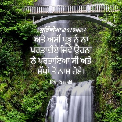 Picture 04 - 1 ਕੁਰਿੰਥੀਆਂ 10:9 PANIRV - ਅਤੇ ਅਸੀਂ ਪ੍ਰਭੂ ਨੂੰ - Bible Verse Picture