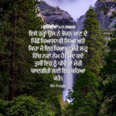 Picture 04 - 1 ਕੁਰਿੰਥੀਆਂ 11:25 PANIRV - ਇਸੇ ਤਰ੍ਹਾਂ ਉਸ ਨੇ - Bible Verse Picture