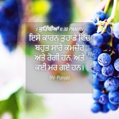 Picture 04 - 1 ਕੁਰਿੰਥੀਆਂ 11:30 PANIRV - ਇਸੇ ਕਾਰਨ ਤੁਹਾਡੇ - Bible Verse Picture