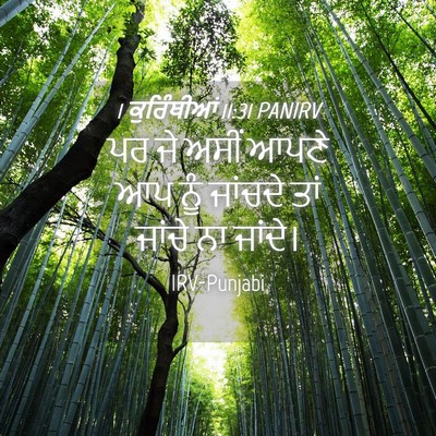 Picture 04 - 1 ਕੁਰਿੰਥੀਆਂ 11:31 PANIRV - ਪਰ ਜੇ ਅਸੀਂ ਆਪਣੇ ਆਪ - Bible Verse Picture