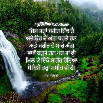 Picture 04 - 1 ਕੁਰਿੰਥੀਆਂ 12:12 PANIRV - ਜਿਸ ਤਰ੍ਹਾਂ ਸਰੀਰ - Bible Verse Picture