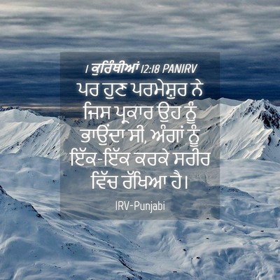 Picture 04 - 1 ਕੁਰਿੰਥੀਆਂ 12:18 PANIRV - ਪਰ ਹੁਣ ਪਰਮੇਸ਼ੁਰ ਨੇ - Bible Verse Picture