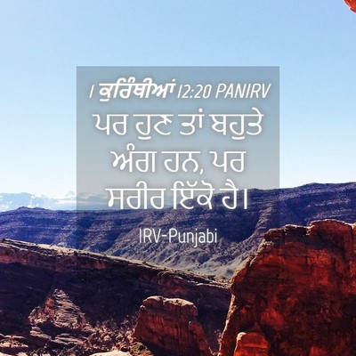 Picture 04 - 1 ਕੁਰਿੰਥੀਆਂ 12:20 PANIRV - ਪਰ ਹੁਣ ਤਾਂ ਬਹੁਤੇ - Bible Verse Picture
