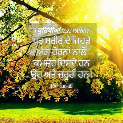 Picture 04 - 1 ਕੁਰਿੰਥੀਆਂ 12:22 PANIRV - ਪਰ ਸਰੀਰ ਦੇ ਜਿਹੜੇ - Bible Verse Picture