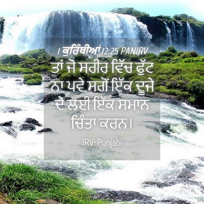 Picture 04 - 1 ਕੁਰਿੰਥੀਆਂ 12:25 PANIRV - ਤਾਂ ਜੋ ਸਰੀਰ ਵਿੱਚ - Bible Verse Picture