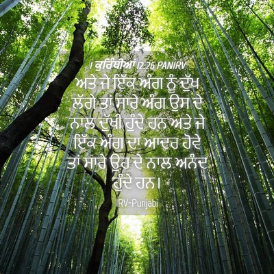 Picture 04 - 1 ਕੁਰਿੰਥੀਆਂ 12:26 PANIRV - ਅਤੇ ਜੇ ਇੱਕ ਅੰਗ ਨੂੰ - Bible Verse Picture