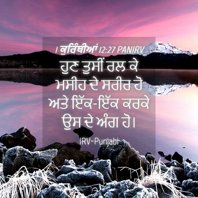 Picture 04 - 1 ਕੁਰਿੰਥੀਆਂ 12:27 PANIRV - ਹੁਣ ਤੁਸੀਂ ਰਲ ਕੇ - Bible Verse Picture
