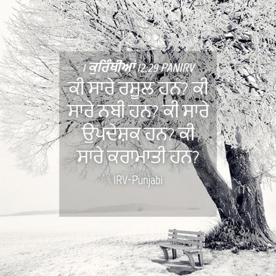 Picture 04 - 1 ਕੁਰਿੰਥੀਆਂ 12:29 PANIRV - ਕੀ ਸਾਰੇ ਰਸੂਲ ਹਨ? ਕੀ - Bible Verse Picture