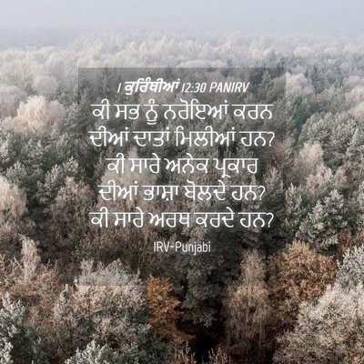 Picture 04 - 1 ਕੁਰਿੰਥੀਆਂ 12:30 PANIRV - ਕੀ ਸਭ ਨੂੰ ਨਰੋਇਆਂ - Bible Verse Picture