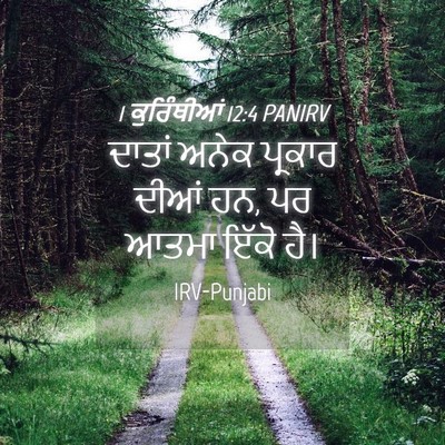 Picture 04 - 1 ਕੁਰਿੰਥੀਆਂ 12:4 PANIRV - ਦਾਤਾਂ ਅਨੇਕ ਪ੍ਰਕਾਰ - Bible Verse Picture