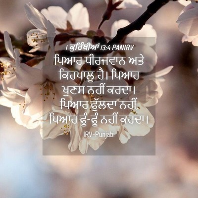 Picture 04 - 1 ਕੁਰਿੰਥੀਆਂ 13:4 PANIRV - ਪਿਆਰ ਧੀਰਜਵਾਨ ਅਤੇ - Bible Verse Picture
