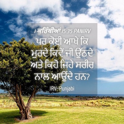 Picture 04 - 1 ਕੁਰਿੰਥੀਆਂ 15:35 PANIRV - ਪਰ ਕੋਈ ਆਖੇ ਕਿ ਮੁਰਦੇ - Bible Verse Picture