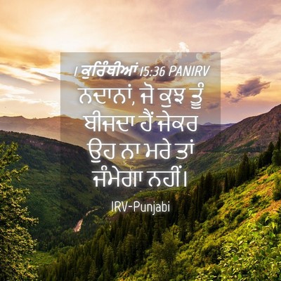 Picture 04 - 1 ਕੁਰਿੰਥੀਆਂ 15:36 PANIRV - ਨਦਾਨਾਂ, ਜੋ ਕੁਝ ਤੂੰ - Bible Verse Picture