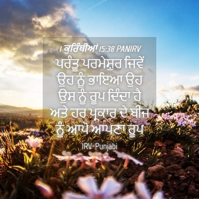Picture 04 - 1 ਕੁਰਿੰਥੀਆਂ 15:38 PANIRV - ਪਰੰਤੂ ਪਰਮੇਸ਼ੁਰ - Bible Verse Picture