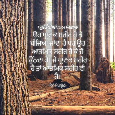 Picture 04 - 1 ਕੁਰਿੰਥੀਆਂ 15:44 PANIRV - ਉਹ ਪ੍ਰਾਣਕ ਸਰੀਰ ਹੋ - Bible Verse Picture