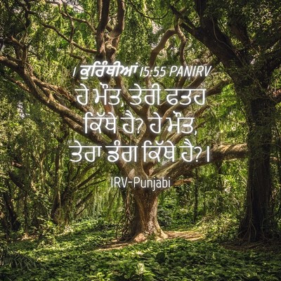 Picture 04 - 1 ਕੁਰਿੰਥੀਆਂ 15:55 PANIRV - ਹੇ ਮੌਤ, ਤੇਰੀ ਫਤਹ - Bible Verse Picture