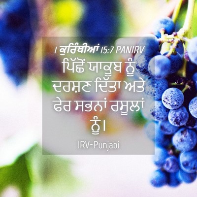 Picture 04 - 1 ਕੁਰਿੰਥੀਆਂ 15:7 PANIRV - ਪਿੱਛੋਂ ਯਾਕੂਬ ਨੂੰ - Bible Verse Picture