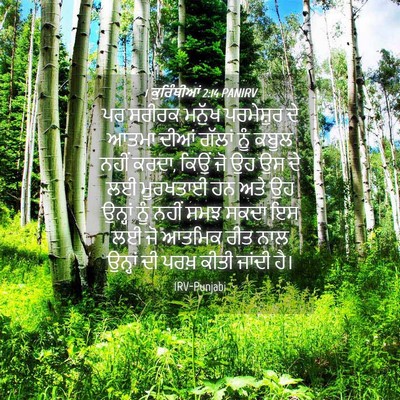 Picture 04 - 1 ਕੁਰਿੰਥੀਆਂ 2:14 PANIRV - ਪਰ ਸਰੀਰਕ ਮਨੁੱਖ - Bible Verse Picture