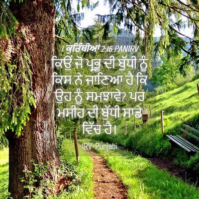 Picture 04 - 1 ਕੁਰਿੰਥੀਆਂ 2:16 PANIRV - ਕਿਉਂ ਜੋ ਪ੍ਰਭੂ ਦੀ - Bible Verse Picture