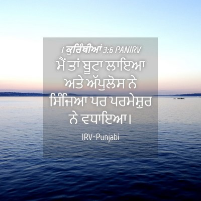Picture 04 - 1 ਕੁਰਿੰਥੀਆਂ 3:6 PANIRV - ਮੈਂ ਤਾਂ ਬੂਟਾ ਲਾਇਆ - Bible Verse Picture