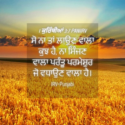 Picture 04 - 1 ਕੁਰਿੰਥੀਆਂ 3:7 PANIRV - ਸੋ ਨਾ ਤਾਂ ਲਾਉਣ ਵਾਲਾ - Bible Verse Picture