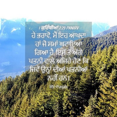 Picture 04 - 1 ਕੁਰਿੰਥੀਆਂ 7:29 PANIRV - ਹੇ ਭਰਾਵੋ, ਮੈਂ ਇਹ - Bible Verse Picture