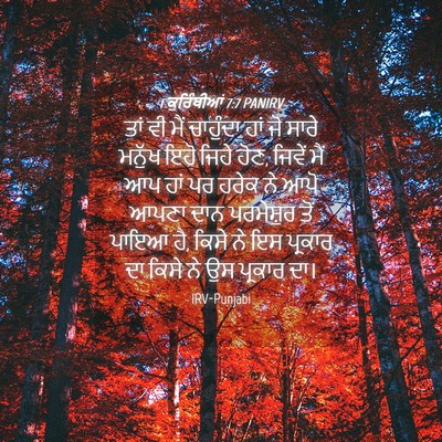 Picture 04 - 1 ਕੁਰਿੰਥੀਆਂ 7:7 PANIRV - ਤਾਂ ਵੀ ਮੈਂ ਚਾਹੁੰਦਾ - Bible Verse Picture