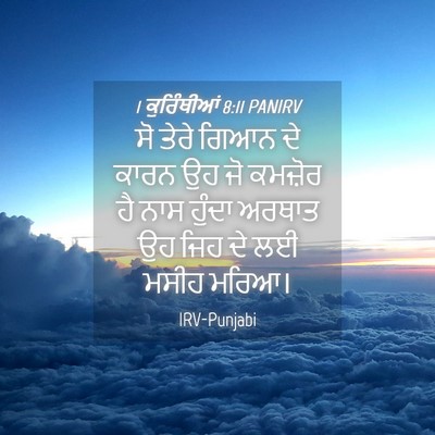 Picture 04 - 1 ਕੁਰਿੰਥੀਆਂ 8:11 PANIRV - ਸੋ ਤੇਰੇ ਗਿਆਨ ਦੇ - Bible Verse Picture