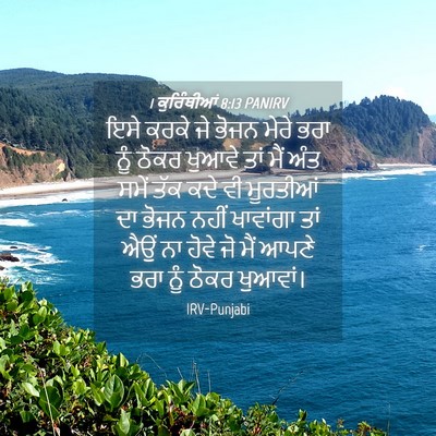 Picture 04 - 1 ਕੁਰਿੰਥੀਆਂ 8:13 PANIRV - ਇਸੇ ਕਰਕੇ ਜੇ ਭੋਜਨ - Bible Verse Picture