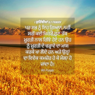 Picture 04 - 1 ਕੁਰਿੰਥੀਆਂ 8:7 PANIRV - ਪਰ ਸਭ ਨੂੰ ਇਹ ਗਿਆਨ - Bible Verse Picture