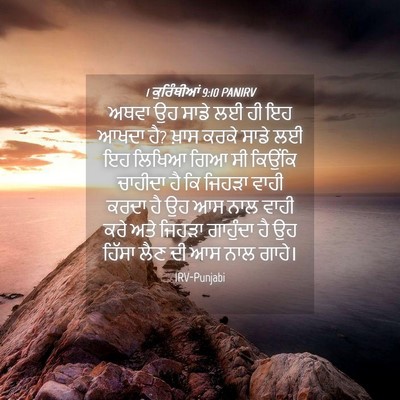 Picture 04 - 1 ਕੁਰਿੰਥੀਆਂ 9:10 PANIRV - ਅਥਵਾ ਉਹ ਸਾਡੇ ਲਈ ਹੀ - Bible Verse Picture