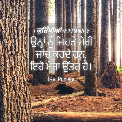 Picture 04 - 1 ਕੁਰਿੰਥੀਆਂ 9:3 PANIRV - ਉਨ੍ਹਾਂ ਨੂੰ ਜਿਹੜੇ - Bible Verse Picture