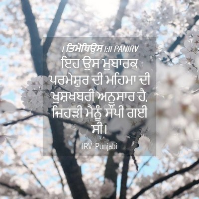 Picture 04 - 1 ਤਿਮੋਥਿਉਸ 1:11 PANIRV - ਇਹ ਉਸ ਮੁਬਾਰਕ - Bible Verse Picture