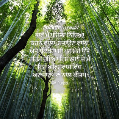 Picture 04 - 1 ਤਿਮੋਥਿਉਸ 1:13 PANIRV - ਭਾਵੇਂ ਮੈਂ ਪਹਿਲਾਂ - Bible Verse Picture