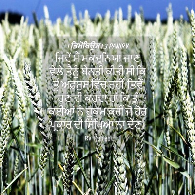 Picture 04 - 1 ਤਿਮੋਥਿਉਸ 1:3 PANIRV - ਜਿਵੇਂ ਮੈਂ - Bible Verse Picture