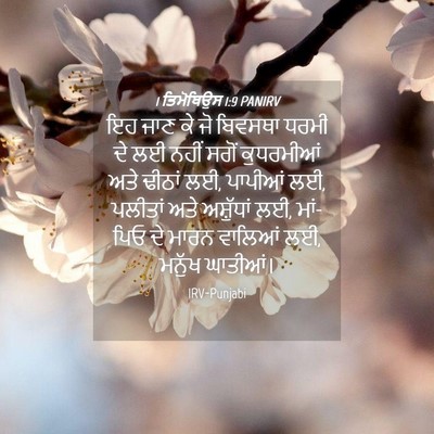Picture 04 - 1 ਤਿਮੋਥਿਉਸ 1:9 PANIRV - ਇਹ ਜਾਣ ਕੇ ਜੋ ਬਿਵਸਥਾ - Bible Verse Picture